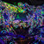 Dj Takoyaki thumbnail