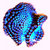 Getting Wiser thumbnail