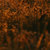 153642 thumbnail