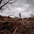 Rising Appalachia image
