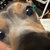 EmptyBox thumbnail