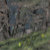 D thumbnail