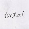 Pintai image