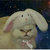 saucers7 thumbnail