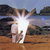 Francesco Piunti thumbnail