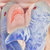 Phniblet thumbnail