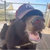 Bear thumbnail