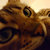 Chaotic Creature thumbnail
