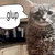 piz_mac thumbnail