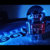 grimaldia thumbnail