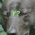 werjo95 thumbnail