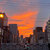 soji_b thumbnail