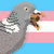 Palumbie thumbnail