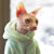 Gizmo thumbnail