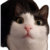 meow10811 thumbnail