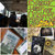 paolo-i thumbnail