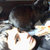 rosieCap thumbnail