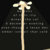 roses_grow_on_rebar thumbnail