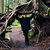 James McGhee thumbnail