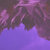 curlyfrie3 thumbnail