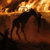 QU13T thumbnail
