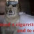florpo_gm thumbnail