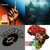 remedymc thumbnail