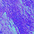 peanut_muffin thumbnail