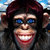 monkeymess thumbnail