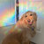 sookielalla thumbnail