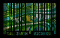 KALI EARTH RECOrDS image