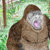 dilabopaboy thumbnail