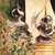 habuk thumbnail
