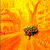 psychedelia_euphoria thumbnail