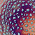 rhizomee thumbnail
