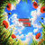 oskiari1975 thumbnail