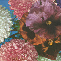 Annual Flowers In Color (OG mix) cover art