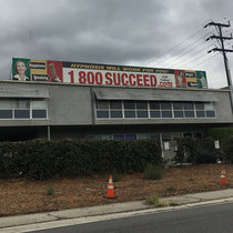 1-800-SUCCEED cover art