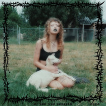 Of Rot and Rebirth cover art