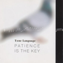 Patience Is The Key cover art