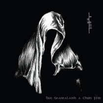 Don Seantalamh a Chuid F​é​in cover art