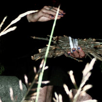 The Sound of Spiders Hatching cover art