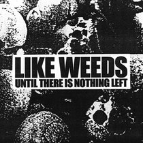 UNTIL THERE IS NOTHING LEFT cover art