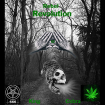 Rebel Revolution cover art