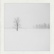 The Colour Of Snow cover art