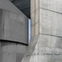 Enthropic Vision cover art