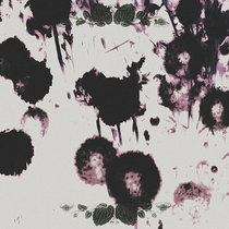 lei cover art
