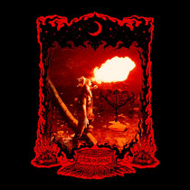 Sitting on Stardust cover art