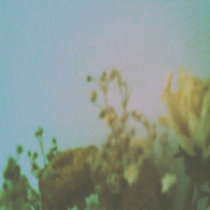 Kern-Host cover art