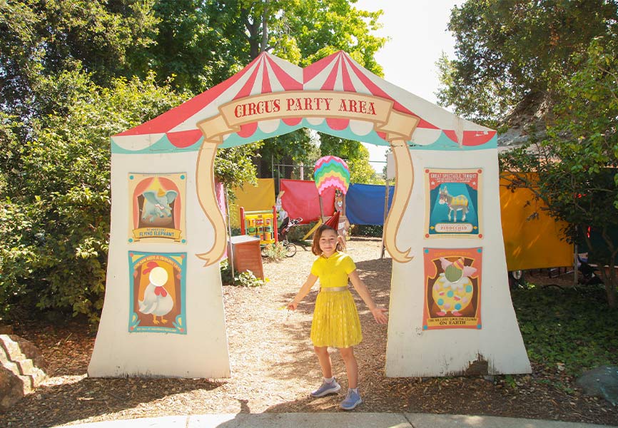circus-party-area